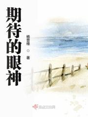 期待的眼神400字