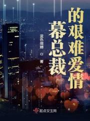 总裁的艰难爱情电视