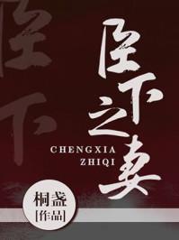 臣下之妻作者桐盏
