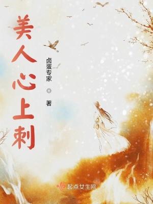 美人心在线阅读