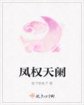 凤天澜女主角