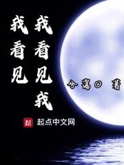 我看见你看见我什么歌