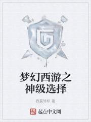 梦幻西游神级选择TXT