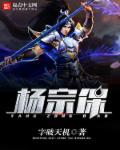 杨宗保排老几