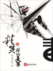 精灵之黑暗天王