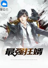 最强狂婿人物介绍
