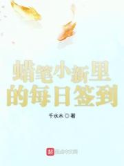 蜡笔小新之每日抽奖系统
