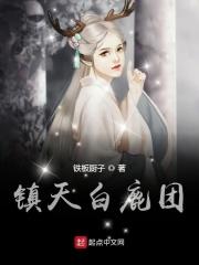 白鹿镇照片
