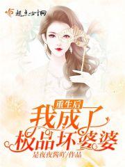 我穿成了极品婆婆无广告