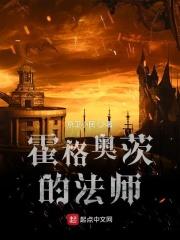 霍格沃茨的至尊法师