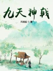 九天神王简介