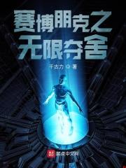 赛博朋克 无懈可击