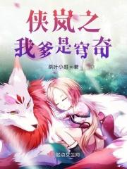 侠岚之我为辗迟