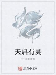 天启到底是何身份
