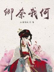 奈何佳人什么意思