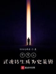 斗罗大陆之成为武魂