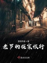 老罗新节目