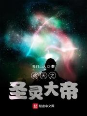遮天之圣灵路