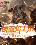 假面骑士镜子
