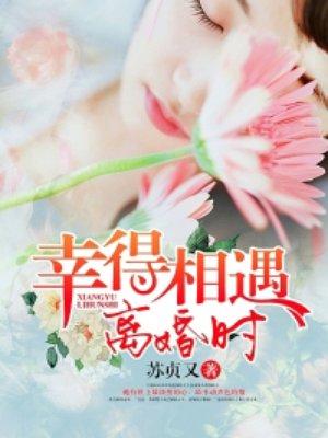 幸得相遇离婚时全文阅读