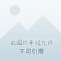 无限深度上映