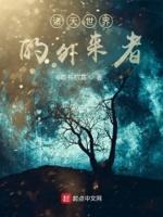 诸天世界的天道起点中文网