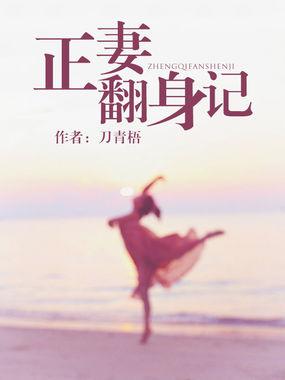 正妻bymnbv阅读
