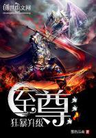 至尊狂爆升级系统