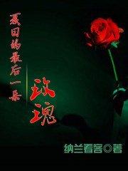 夏日最后一朵玫瑰歌曲表达意思