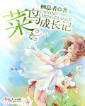 菜鸟的一生