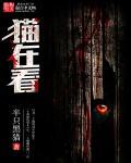 猫在看书