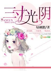 三寸光阴七寸执念意思
