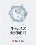 斗天之道全集