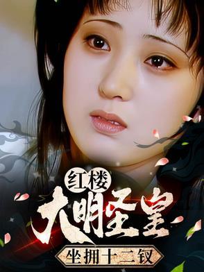 大明圣皇笔趣