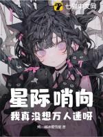 星际哨兵向导的