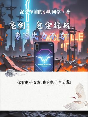 亮剑收益