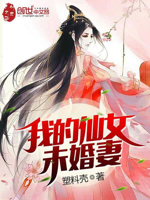 我的仙女未婚妻end