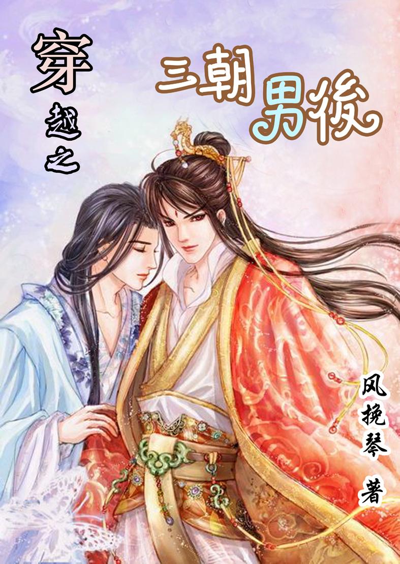 穿越之三朝男后风挽琴简介