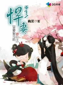 重生之悍妻讲的啥