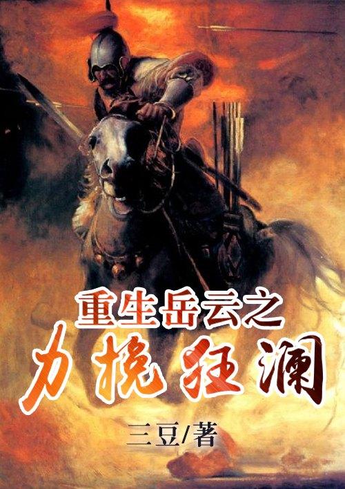 主角岳云的