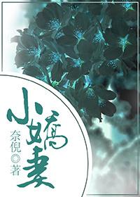 总裁小娇妻