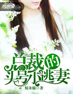 总裁首席的小逃妻