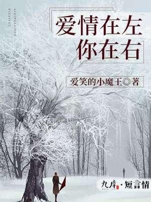 爱在左情在右歌词歌词