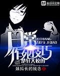 楚轩战斗力