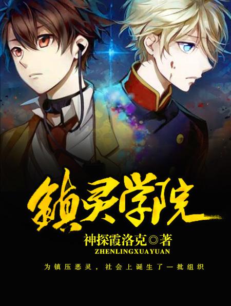 镇灵的神魂