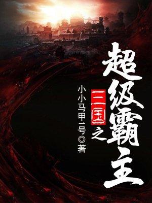 小小马甲一号