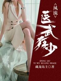 风流医圣免费阅读全文