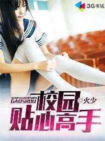校园贴身高手叶
