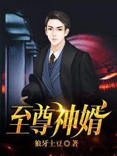 电视剧至尊神婿