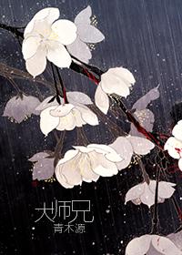 大师兄影视官方最新版